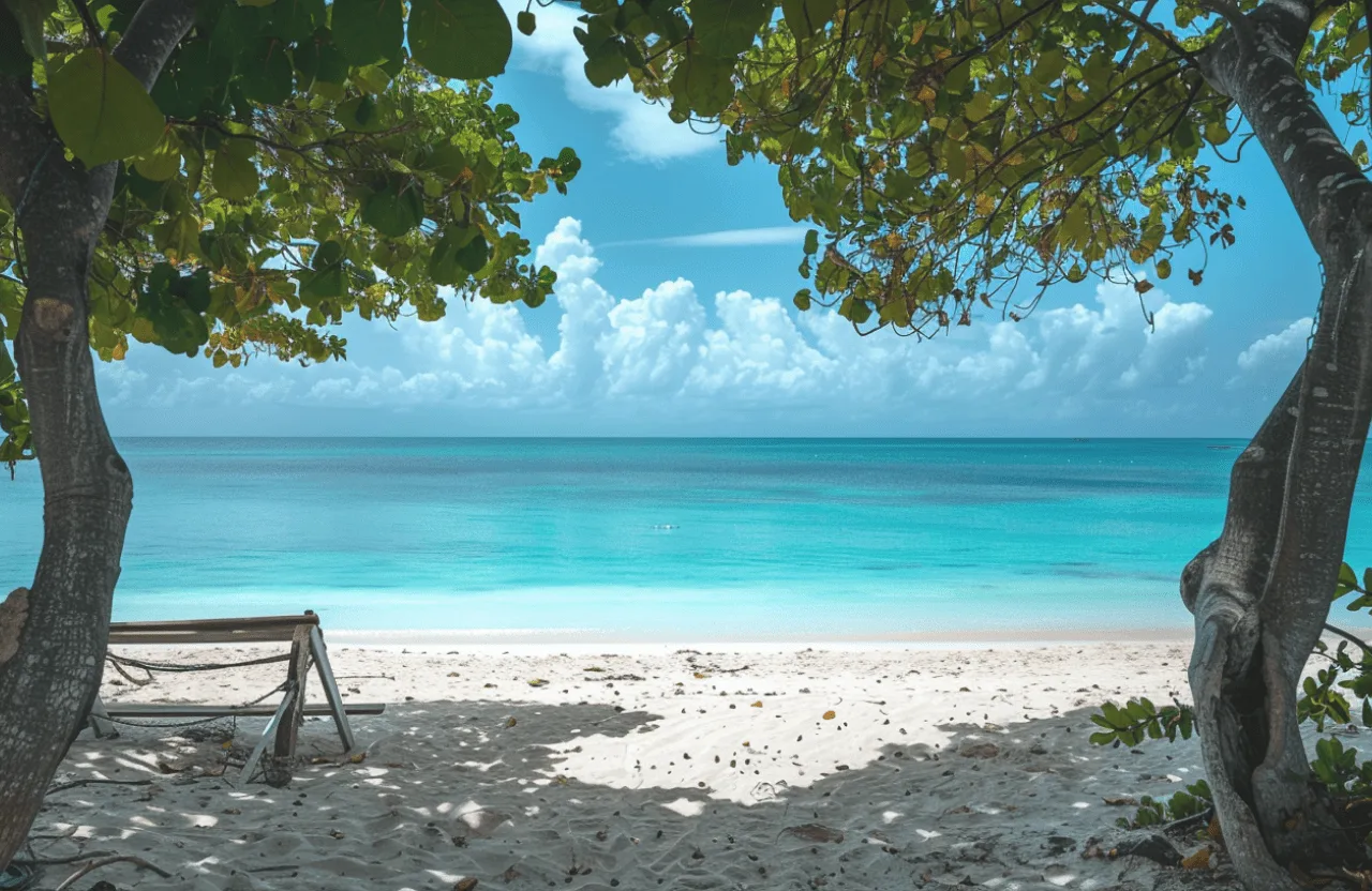 Beach background